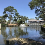 Spring on Hilton Head Island Encore Symposium 2025