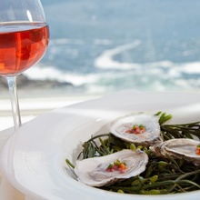 Oysters