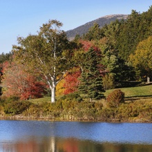 Pond Autumn