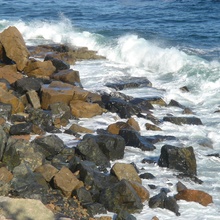 Rocky Seashore