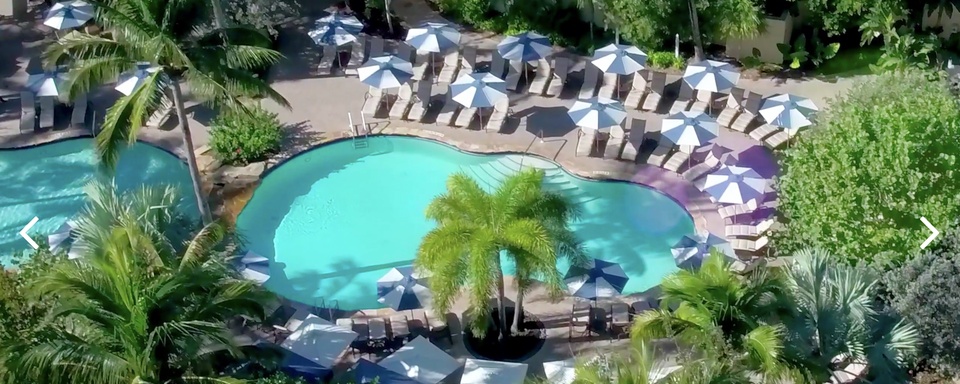 Naples & Everglades National Park Escape 2024 Encore Symposium