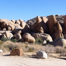 Joshua Tree Rocks