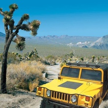 Hummer