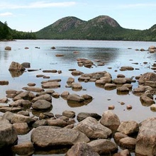 Acadia River Rocks