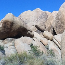 Joshua Tree Rocks up Close