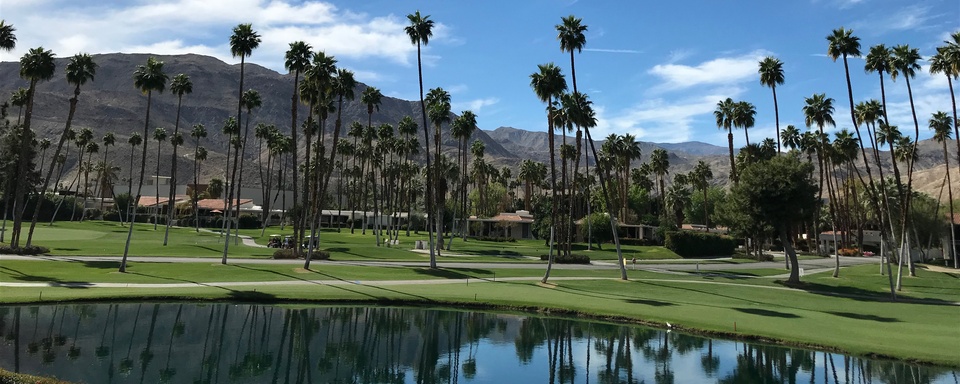 Palm Springs Oasis in the Desert 2024 