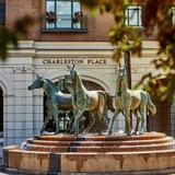 Charleston Holiday Advanced Anesthesiology Essentials 2027