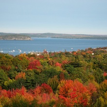 Acadia Autumn