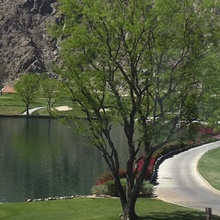 Scenic