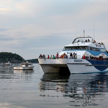 Whale Watching