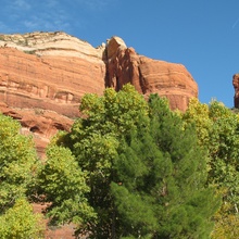 Red Rock with Green Contrast