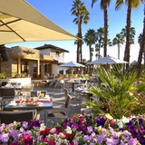Palm Springs Oasis in the Desert 2024 