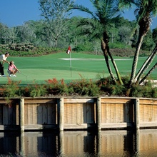 Golf Fence