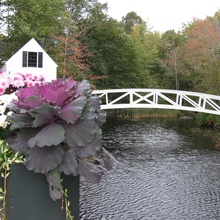 Bridge and Flowers