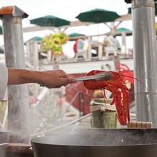 Lobster